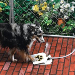 Outdoor Automatic Dog Pet Water Fountain - Durable Step-On Paw Design