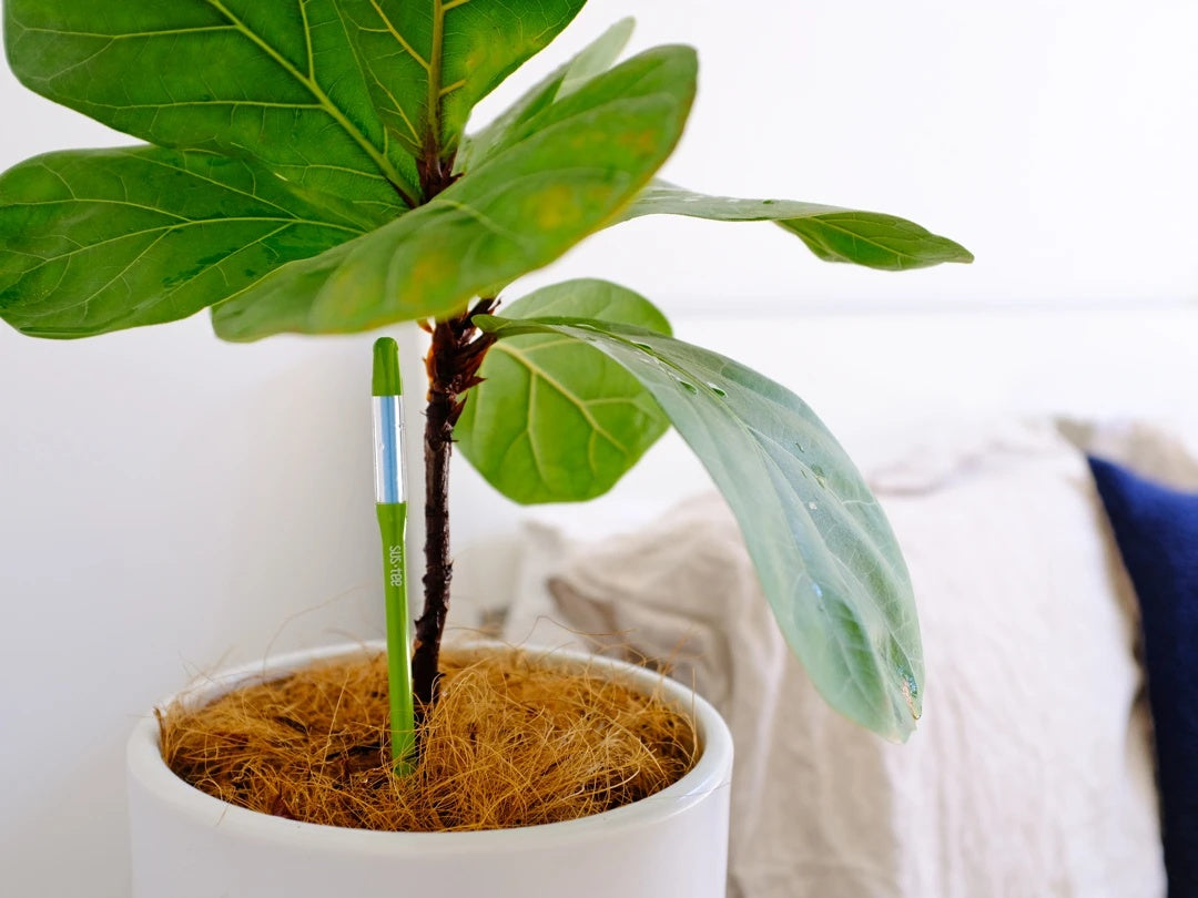Potted Soil Moisture Sensor Irrigation Checker