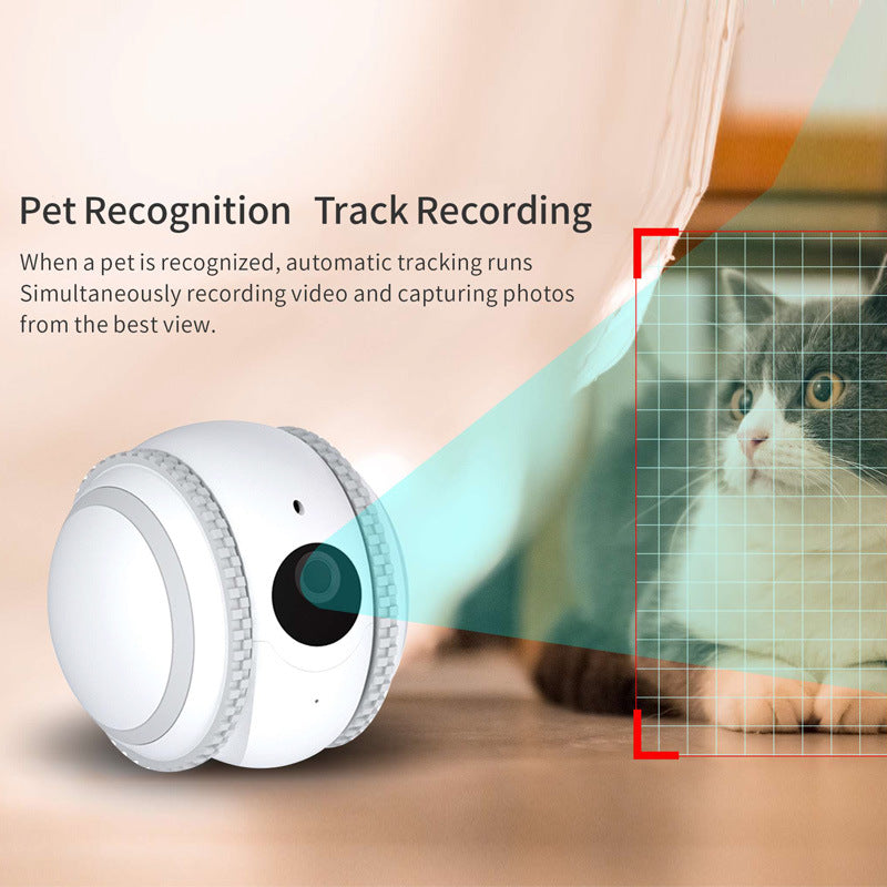 AI Autonomous Pet Companion Robot - 4K HD Camera & Smart Tracking